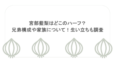 宮部藍梨はどこのハーフ？兄弟構成や家族について！生い立ちも調査